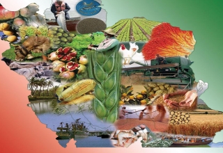 img empty - زخم كهنه اقتصاد ايران