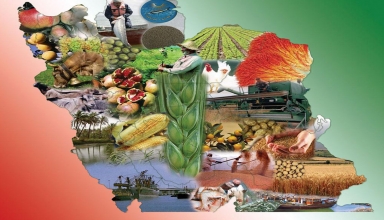 img empty - زخم كهنه اقتصاد ايران