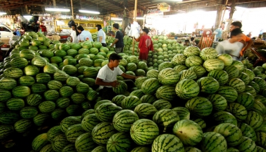 img empty - صنعت یا کشاورزی؟